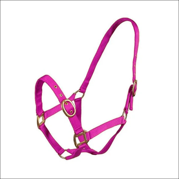 Turfmasters Nylon Headcollar / Halter Pony Cob & Full - Pink