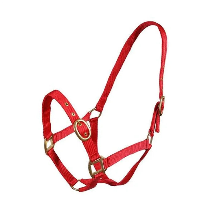 Turfmasters Nylon Headcollar / Halter Pony Cob & Full - Red