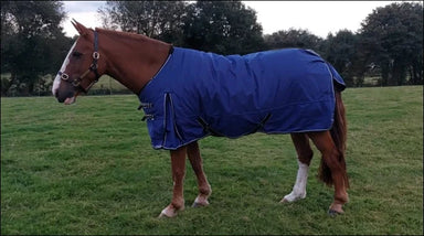 Turfmasters Ophelia Waterproof Standard Neck Turnout Rug