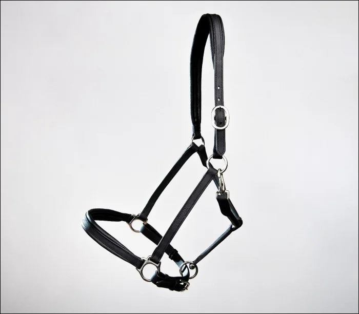 Turfmasters Padded Leather Halter / Headcollar