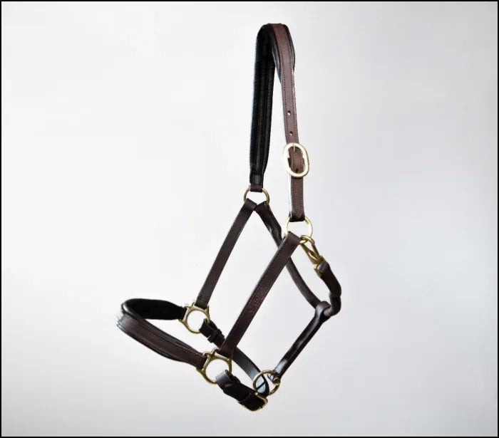 Turfmasters Padded Leather Halter / Headcollar