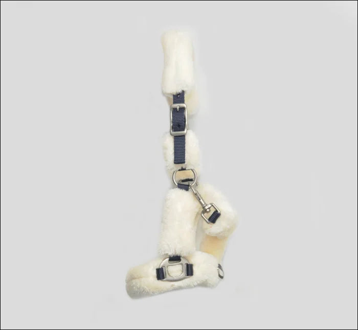 Turfmasters Teddy Headcollar