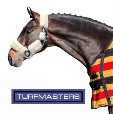 Turfmasters Teddy Headcollar - Foal / White