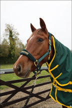 Turfmasters Vortex H/W T/O 350GR Combo 1200D Green