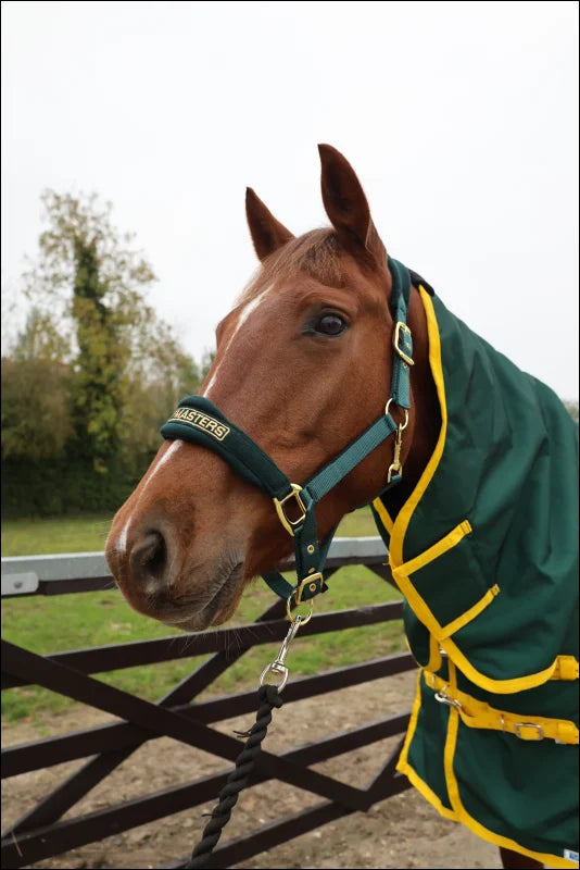 Turfmasters Vortex H/W T/O 350GR Combo 1200D Green