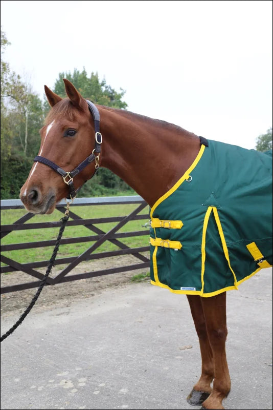 Turfmasters Vortex H/W T/O 350GR Std Neck 1200D Green