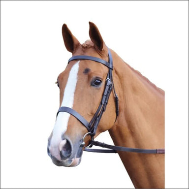 Velociti GARA Plain Bridle - Havana