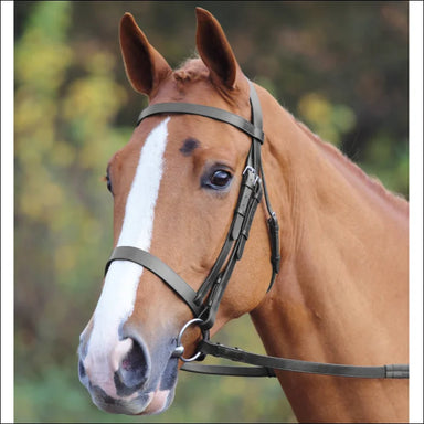 Velociti GARA Plain Bridle - Havana