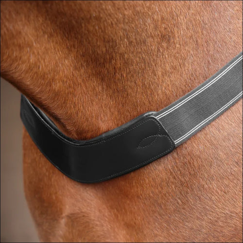 Velociti Rapida Elastic Breastgirth - Black / Pony