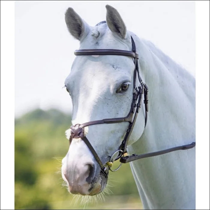Velociti RAPIDA Grackle Bridle - Black