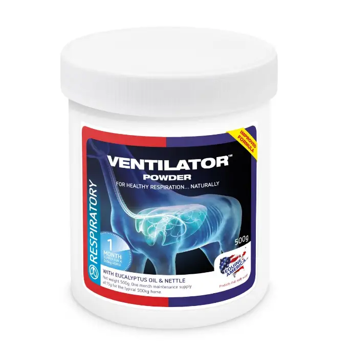 Ventilator Powder - 500g
