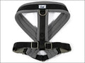 Viva Padded Dog Harness