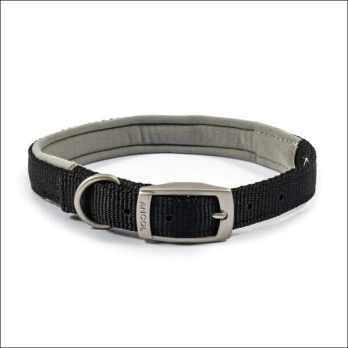 Viva Padded Nylon Dog Collar