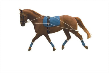 Weatherbeeta Kincade Lunging Training System