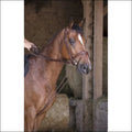 Web/Cord Draw Reins - Brown - Full