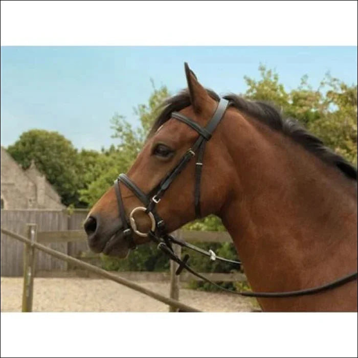 Windsor Leather Flash Bridle - Full / Havana